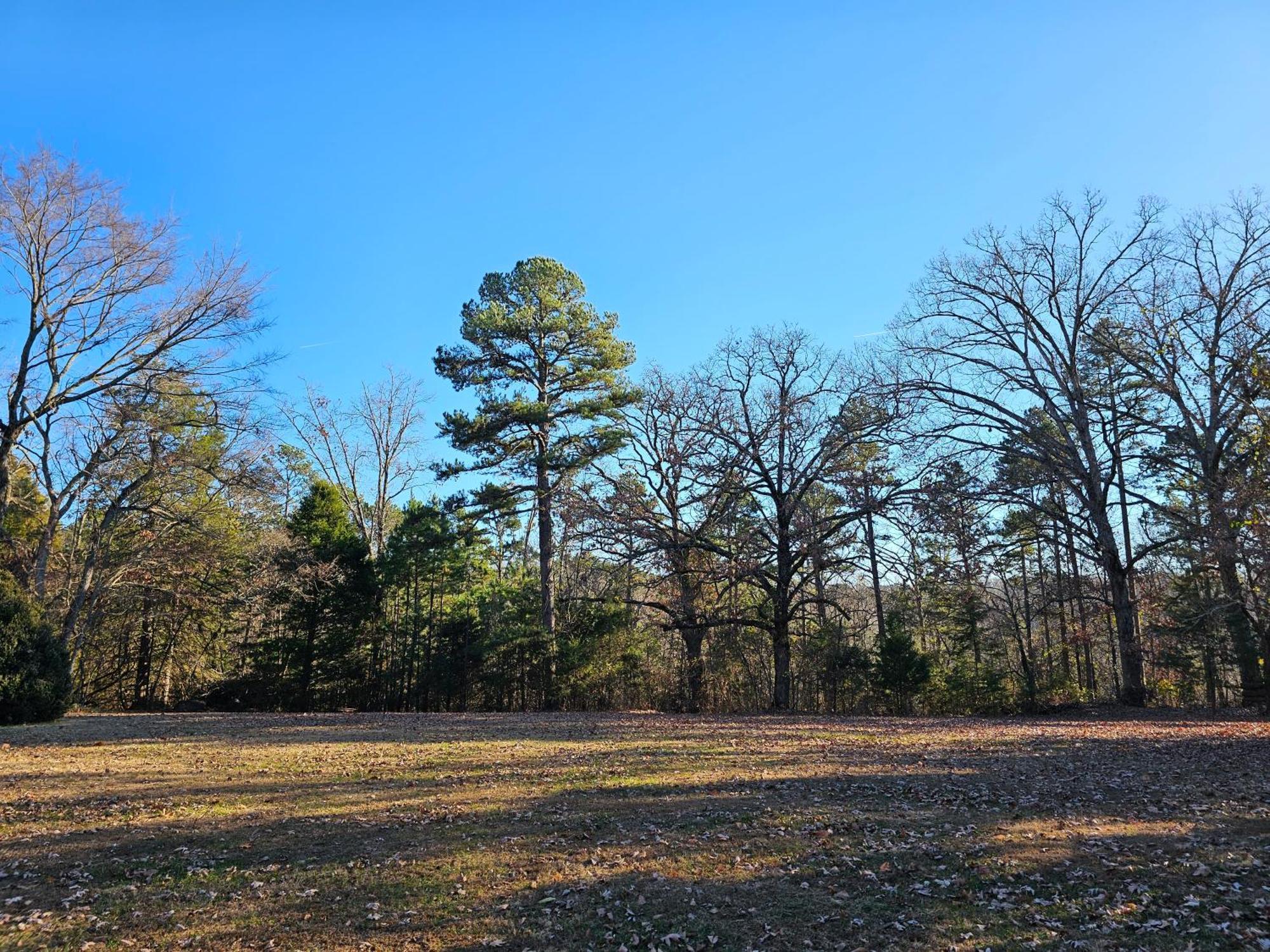 5 Min To Beaver Lake-King Bed-Fire Pit-Jetted Tub #5 Eureka Springs Exterior photo